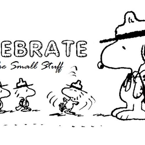 Celebrate the Small Stuff