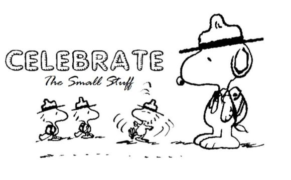 Celebrate the Small Stuff