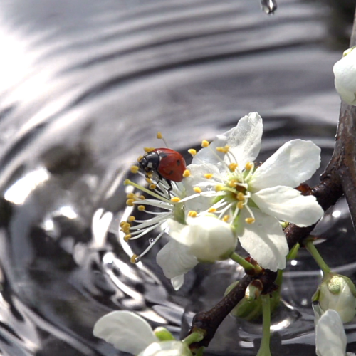 Therapist Jackson, MS Therapist Jackson, MS