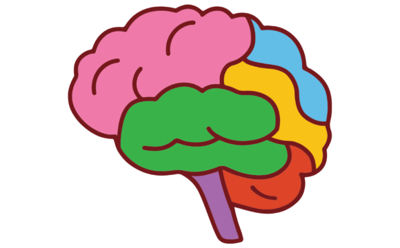 Neuroscience-What Works?