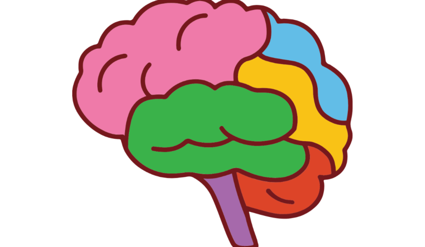 IMG_6882 Neuroscience-What Works?